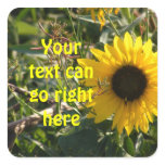 Sunflower Stickers