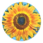 Sunflower , stickers