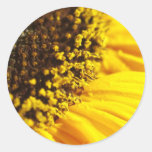 Sunflower Stickers