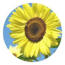 SUNFLOWER STICKERS Daughters Bright Yellow Flowers