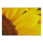 Sunflower Sun Card
