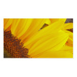 Sunflower Sun Profile Card business cards