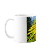 SUNFLOWER SunFlowers Sun Flowers Cards Gifts Mugs