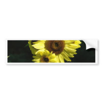 SUNFLOWER SunFlowers Sun Flowers Cards Gifts Mugs