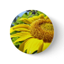 SUNFLOWER SunFlowers Sun Flowers Cards Gifts Mugs