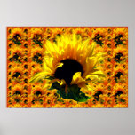 Sunflower Sunrise Large Prints & Posters