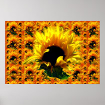 Sunflower Sunrise Large Prints & Posters