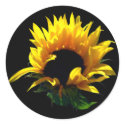Sunflower Sunrise Stickers