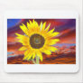 Sunflower Sunset