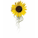 Sunflower Tank Top t-shirts