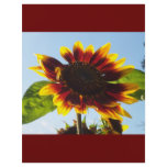 Sunflower to Sunset flyers