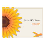 Sunflower Wedding Save the Date Announcement Card2 Post Card