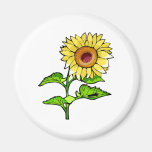 Sunflower Yellow Magnet