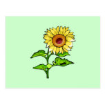 Sunflower Yellow Post Card