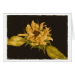 Sunflowere with Headache card