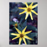 Sunflowers 2002 posters