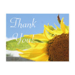 Sunflowers and Blue Skies postcards