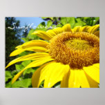 Sunflowers art prints gifts Summer Sun Flower