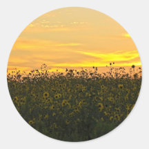 Sunflowers at Dusk Sticker