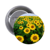Sunflowers Button