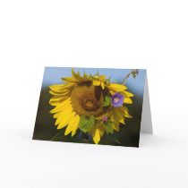 Sunflowers Cards