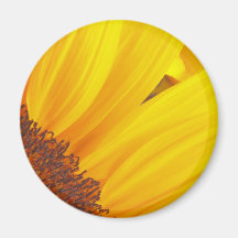 Sunflowers Fridge Magnets