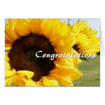 Sunflowers Greeting Card
