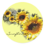 Sunflowers in a Row Sticker
