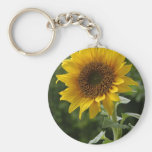 Sunflowers In Field Key Chain