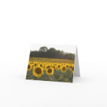 Sunflowers In France Greeting Cards