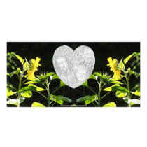 sunflowers kiss