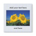 Sunflowers magnets