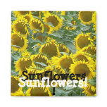 Sunflowers! Fridge Magnets