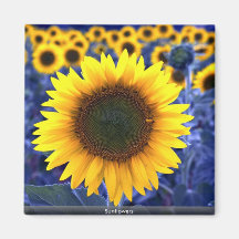 Sunflowers Magnets