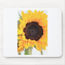 Sunflowers Mouse Pads