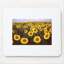 Sunflowers Mousepad