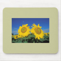 Sunflowers Mousepad