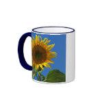 Sunflowers mugs