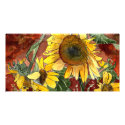 sunflowers painting art gifts photo cards