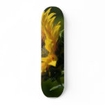 Sunflowers Petals Pollen Yellow skateboards