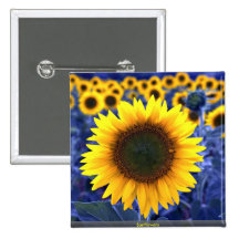 Sunflowers Pin