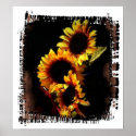 sunflowers posters