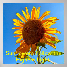 Sunflowers Poster