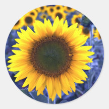 Sunflowers Stickers