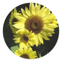 SUNFLOWERS STICKERS STICKER SHEETS Gifts