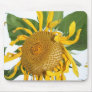 sunflowers sun flower picture photos mousepads