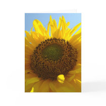 SUNFLOWERS SUN FLOWERS GREETING CARDS NOTE CARD