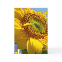 SUNFLOWERS SUN FLOWERS GREETING CARDS NOTE CARD