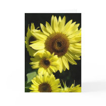 SUNFLOWERS SUN FLOWERS GREETING CARDS NOTE CARD