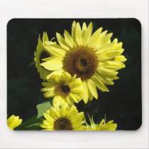 SUNFLOWERS, SUN FLOWERS MOUSE PADS MOUSEPAD